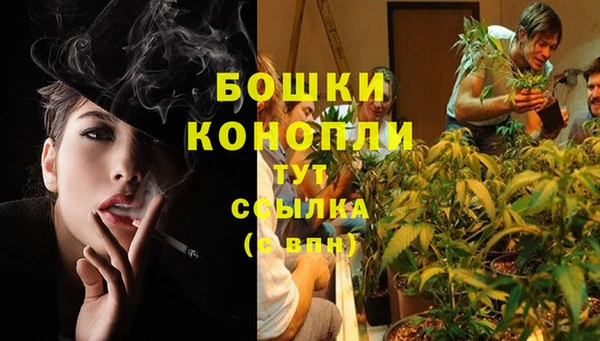 меф Белокуриха