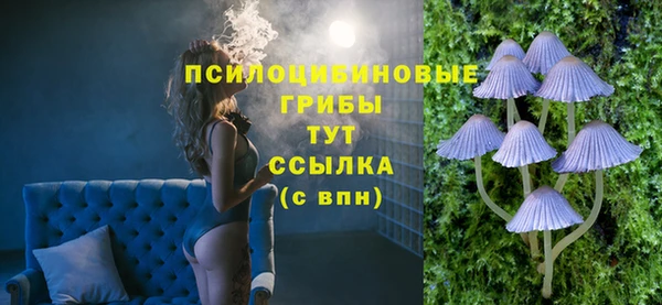 меф Белокуриха